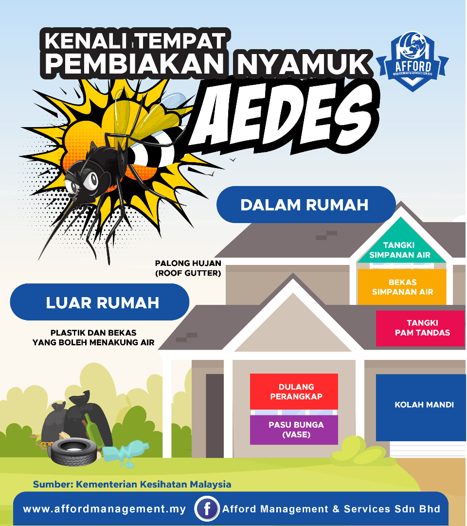 tempat pembiakan nyamuk aedes